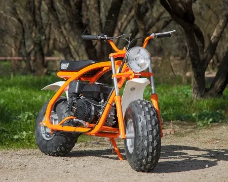 Coleman mini bike BT200X